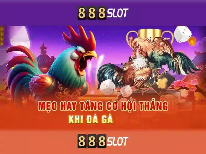 An toàn và thanh toán