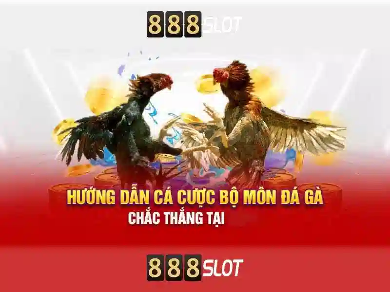 Hướng dẫn tham gia nhanh chóng Hướng dẫn tham gia nhanh chóng
