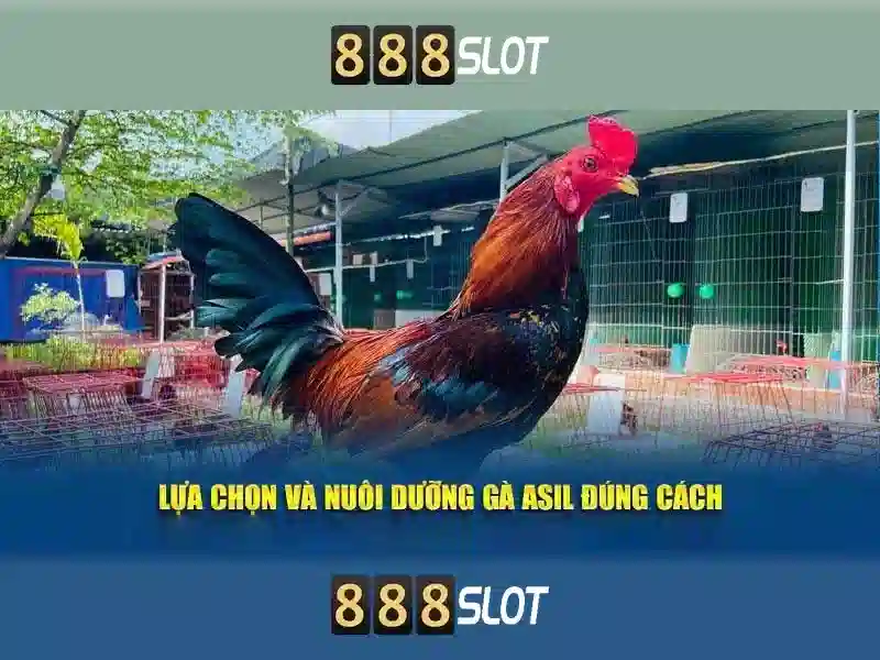 Ưu điểm và sức cạnh tranh