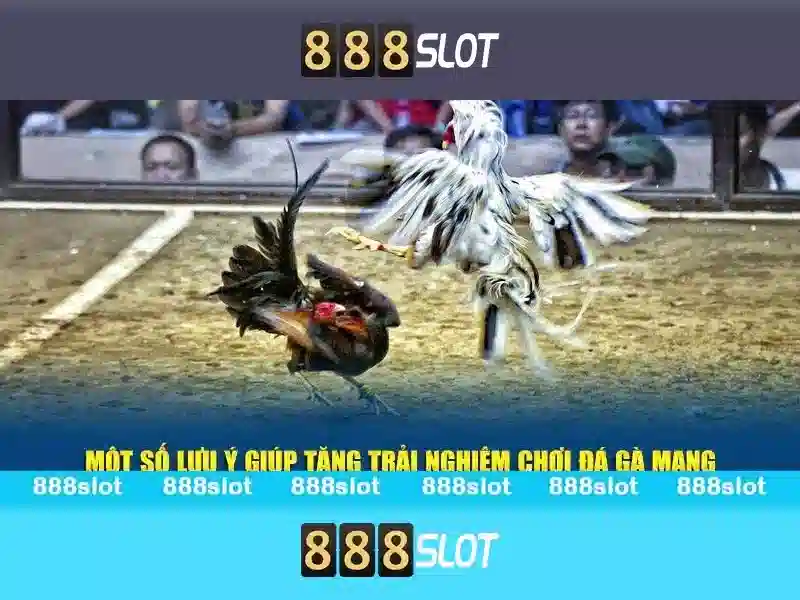 888slot: Nền tảng máy xèng trực tuyến nổi bật