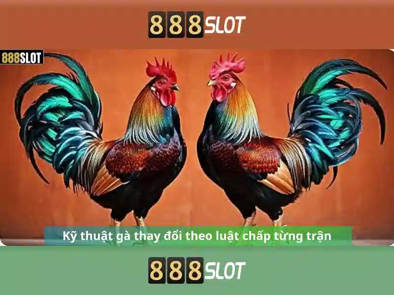 Trải nghiệm người dùng và giao diện\n\n Trải nghiệm người dùng và giao diện\n\n