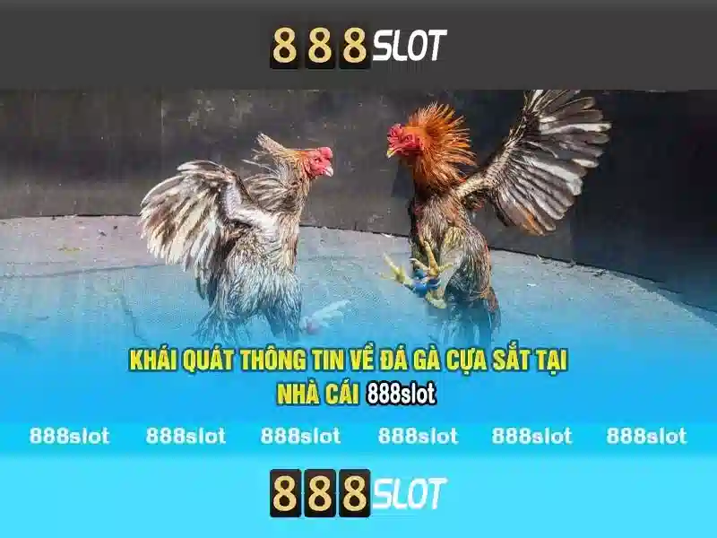 Việt Vị Trong Bóng Đá