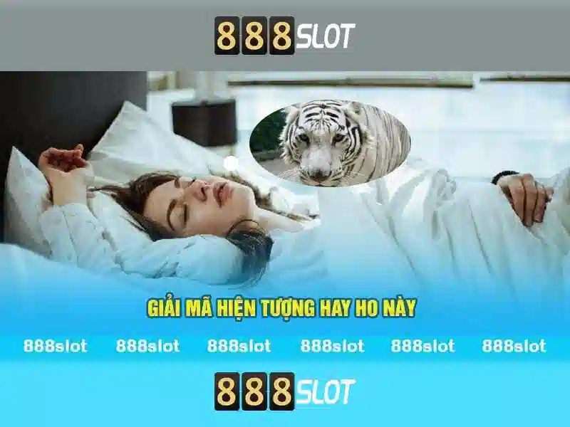 An toàn và bảo mật\n