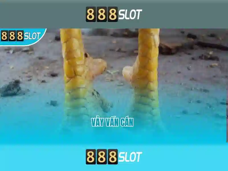 Trải nghiệm người dùng và phản hồi từ cộng đồng\n\n