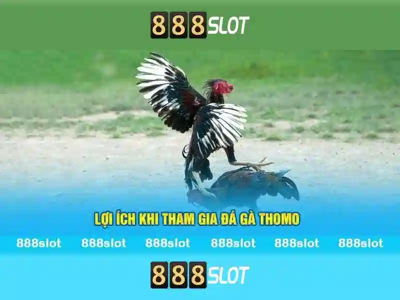 Việt Vị Trong Bóng Đá