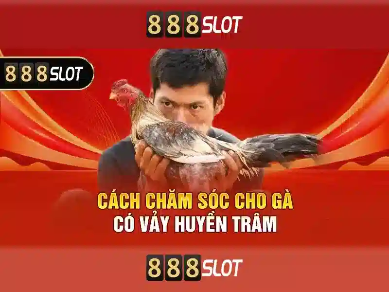 Việt Vị Trong Bóng Đá