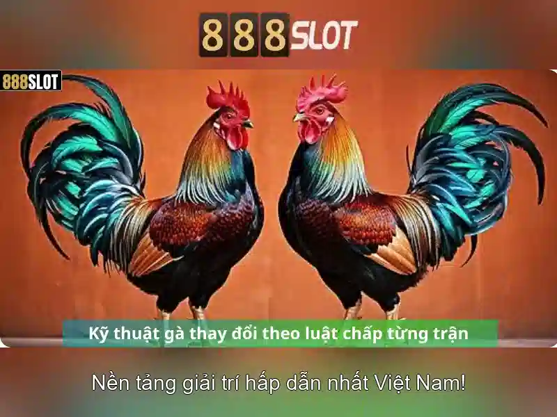 Cách tham gia và trải nghiệm Cách tham gia và trải nghiệm