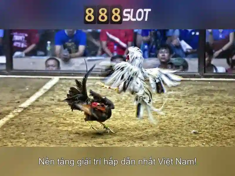 Tiện ích và trải nghiệm người dùng Tiện ích và trải nghiệm người dùng