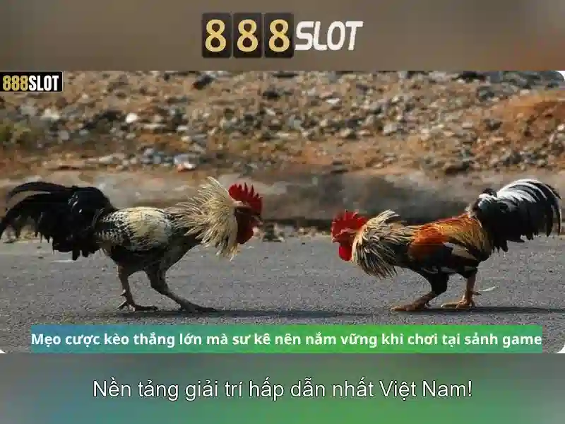Trò chơi đa dạng và nổi bật