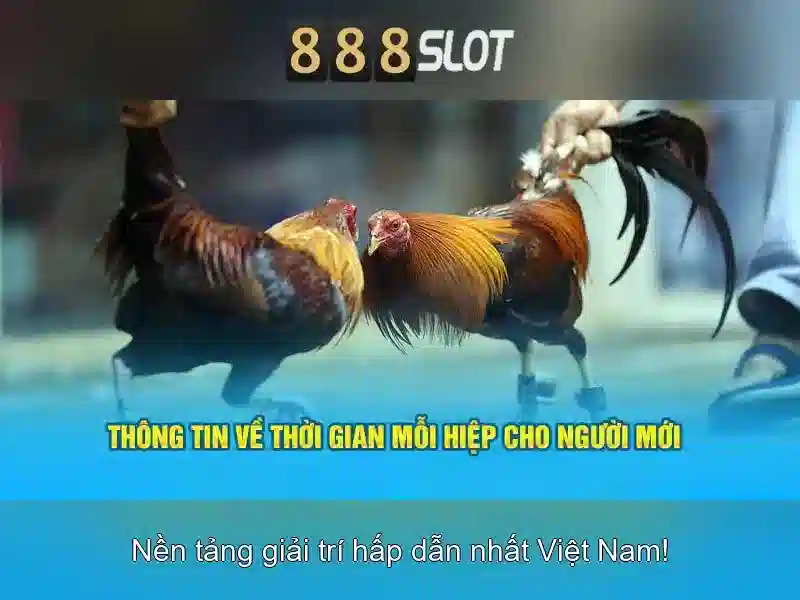 888slot - Nền tảng slot trực tuyến hàng đầu