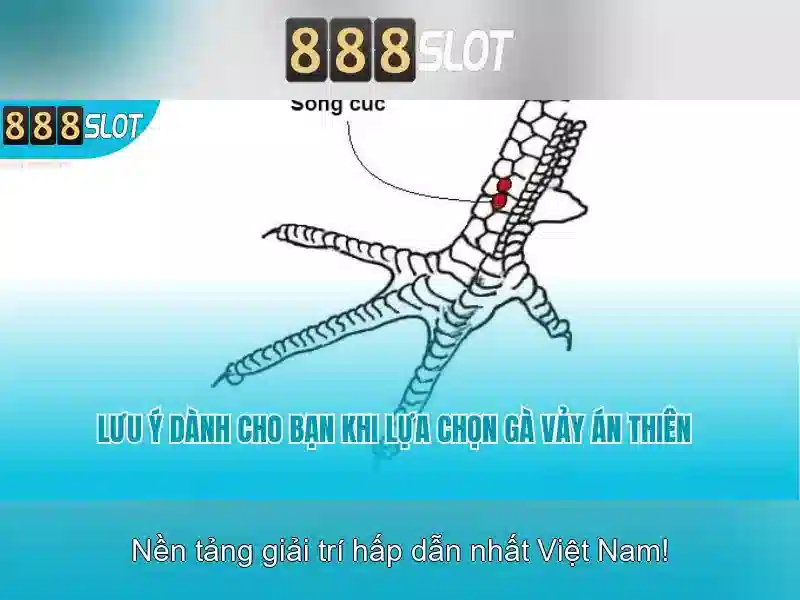 Các trò chơi và chất lượng trò chơi Các trò chơi và chất lượng trò chơi