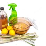 Mosquito Repellent For Dogs