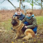Are German Shepherds Good With Kids?