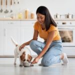 How Much Protein Is in Dog Food?