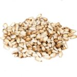 What Birds Eat Safflower Seeds?