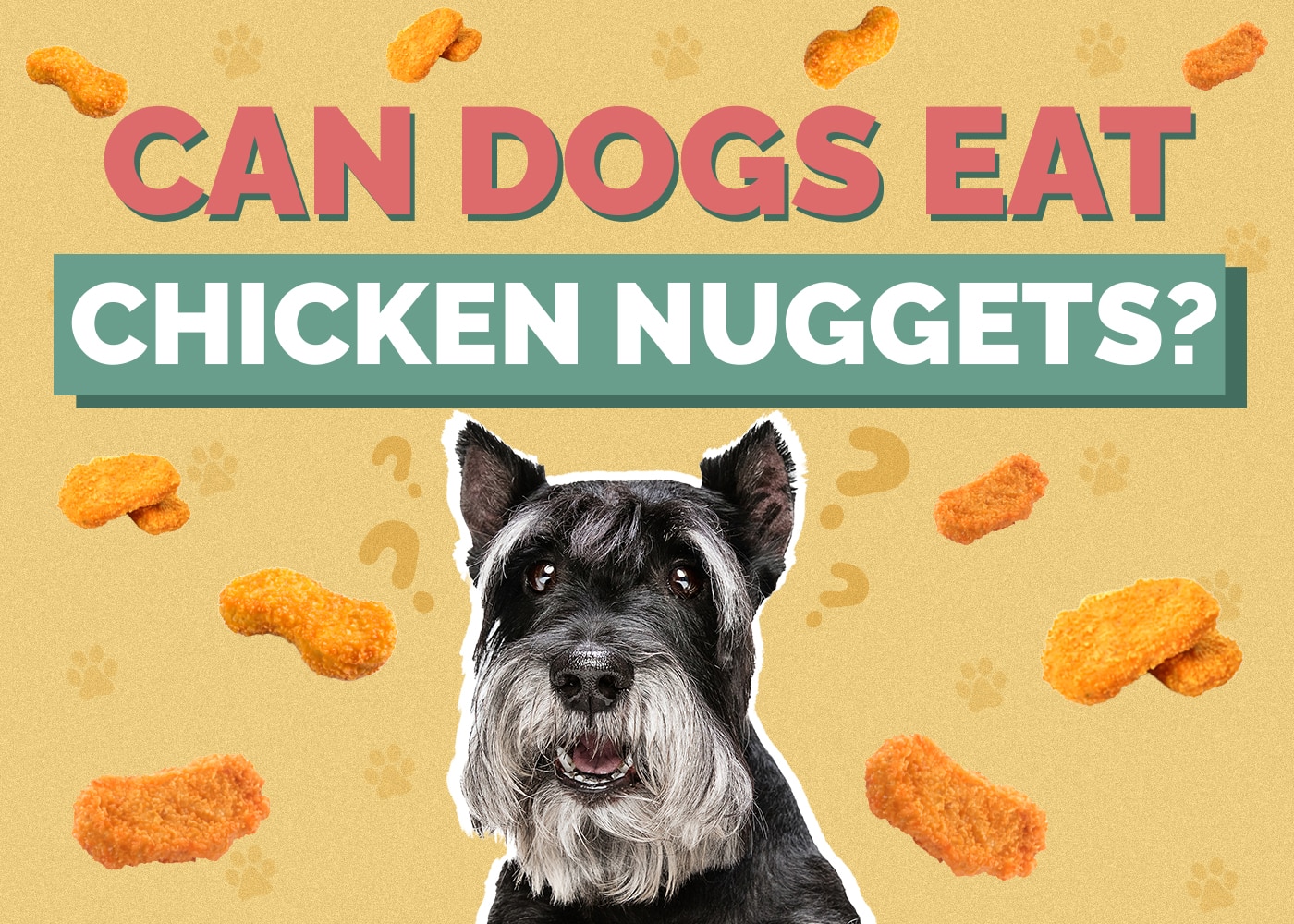 Can Dogs Eat Chicken Nuggets?