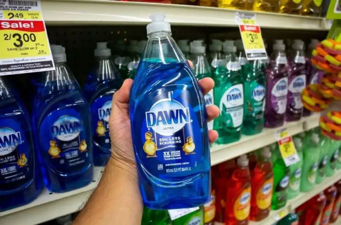 Is Dawn Dish Soap Safe for Dogs?