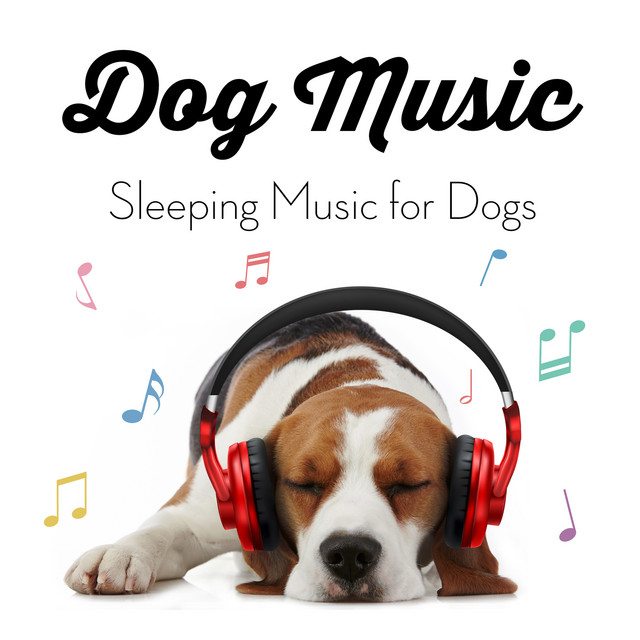 Music For Dogs to Sleep