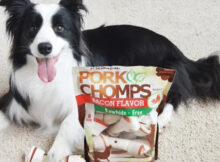 Are Pork Chomps Safe For Dogs?