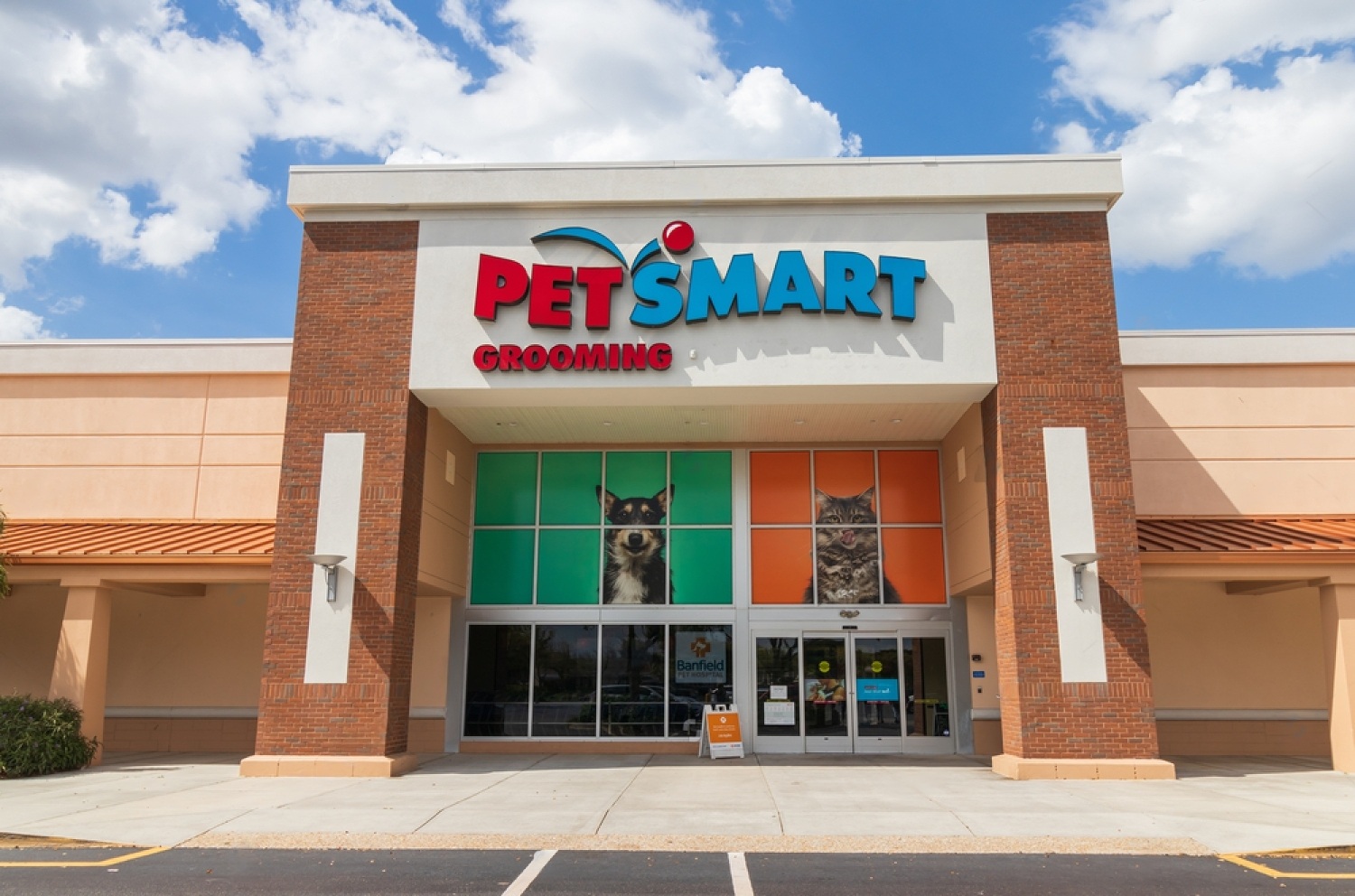 How Much Does PetSmart Grooming Cost?