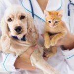 PetSmart Spay and Neuter