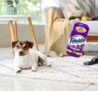 Is Fabuloso Safe for Dogs?