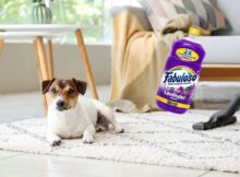 Is Fabuloso Safe for Dogs?