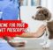 Best Flea Medicine for Dogs Without Vet Prescription