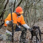 Real Reasons Why Dogs Are Hunters