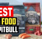 Best Dog Food for Pitbulls and How to Choose the Right Food Formula