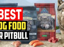 Best Dog Food for Pitbulls and How to Choose the Right Food Formula